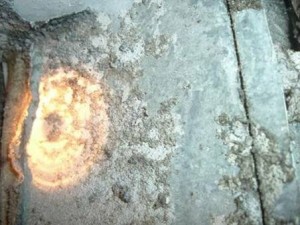 Mold inside an air conditioning unit