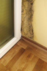 Moisture and mold -Problems in a house